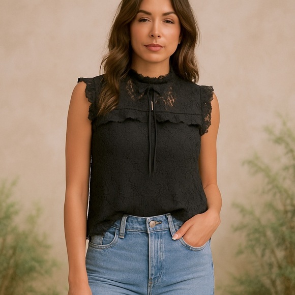 Ambiance Black Lace Mock Neck Date Night Top Large - Picture 1 of 14